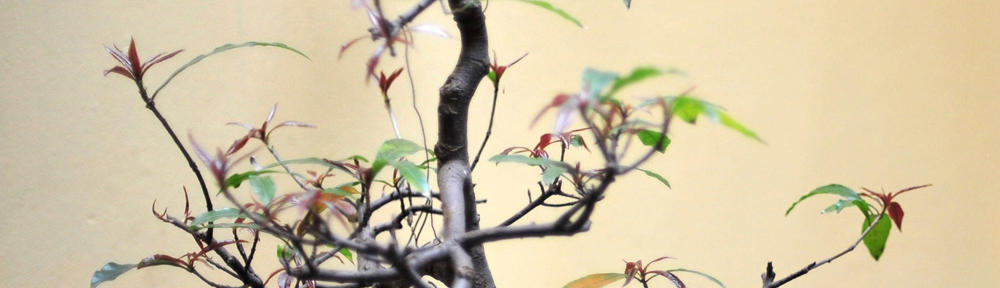 Dr. Warjio, SS.,MA.